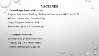 VACCINES
• Formaldehyde inactivated vaccine:
-Prepared from human fetal lung fibroblast cell lines such as MRC5 and WI 38.
-Given to children after 12 months of age.
-Single dose given intramuscularly
-booster dose: given at 6-12 months gap.
• Live attenuated vaccine
-Is a single dose given subcutaneously
- Uses H2 and L-A-1 strains of HAV
- Prepaid in human diploid cell line
 
