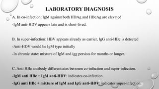 LABORATORY DIAGNOSIS
A. In co-infection: IgM against both HDAg and HBcAg are elevated
-IgM anti-HDV appears late and is short-lived.
B. In super-infection: HBV appears already as carrier, IgG anti-HBc is detected
-Anti-HDV would be IgM type initially
-In chronic state: mixture of IgM and igg persists for months or longer.
C. Anti HBc antibody differentiates between co-infection and super-infection.
-IgM anti HBc + IgM anti-HDV: indicates co-infection.
-IgG anti HBc + mixture of IgM and IgG anti-HDV: indicates super-infection.
 