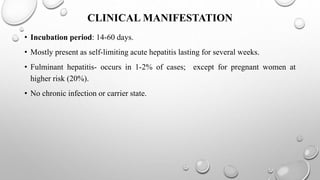 CLINICAL MANIFESTATION
• Incubation period: 14-60 days.
• Mostly present as self-limiting acute hepatitis lasting for several weeks.
• Fulminant hepatitis- occurs in 1-2% of cases; except for pregnant women at
higher risk (20%).
• No chronic infection or carrier state.
 