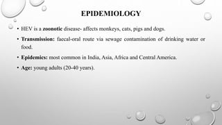 EPIDEMIOLOGY
• HEV is a zoonotic disease- affects monkeys, cats, pigs and dogs.
• Transmission: faecal-oral route via sewage contamination of drinking water or
food.
• Epidemics: most common in India, Asia, Africa and Central America.
• Age: young adults (20-40 years).
 