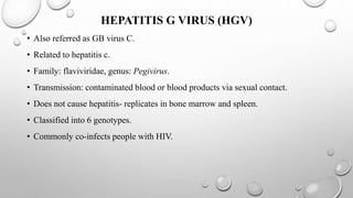HEPATITIS G VIRUS (HGV)
• Also referred as GB virus C.
• Related to hepatitis c.
• Family: flaviviridae, genus: Pegivirus.
• Transmission: contaminated blood or blood products via sexual contact.
• Does not cause hepatitis- replicates in bone marrow and spleen.
• Classified into 6 genotypes.
• Commonly co-infects people with HIV.
 