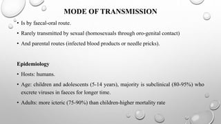 MODE OF TRANSMISSION
• Is by faecal-oral route.
• Rarely transmitted by sexual (homosexuals through oro-genital contact)
• And parental routes (infected blood products or needle pricks).
Epidemiology
• Hosts: humans.
• Age: children and adolescents (5-14 years), majority is subclinical (80-95%) who
excrete viruses in faeces for longer time.
• Adults: more icteric (75-90%) than children-higher mortality rate
 