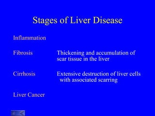 Stages of Liver Disease ,[object Object],[object Object],[object Object],[object Object]