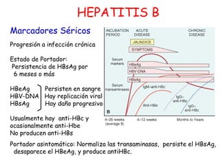 HEPATITIS B 
Marcadores Séricos 
Progresión a infección crónica 
Estado de Portador: 
Persistencia de HBsAg por 
6 meses o más 
HBeAg Persisten en sangre 
HBV-DNA Hay replicación viral 
HBsAg Hay daño progresivo 
Usualmente hay anti-HBc y 
ocasionalmente anti-Hbe 
No producen anti-HBs 
Portador asintomático: Normaliza las transaminasas, persiste el HBsAg, 
desaparece el HBeAg, y produce antiHBc. 
 
