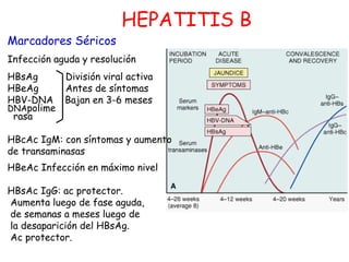 HEPATITIS B 
Marcadores Séricos 
Infección aguda y resolución 
HBsAg División viral activa 
HBeAg Antes de síntomas 
HBV-D...