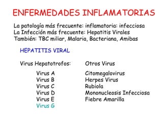 ENFERMEDADES INFLAMATORIAS 
La patología más frecuente: inflamatoria: infecciosa 
La Infección más frecuente: Hepatitis Vi...