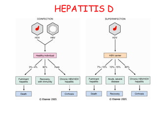 HEPATITIS D 
 