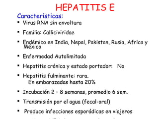 HEPATITIS E 
Características: 
 Virus RNA sin envoltura 
 Familia: Calliciviridae 
 Endémico en India, Nepal, Pakistan,...