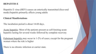 HEPATITIS presentation for microbiology for nursing students | PPTX