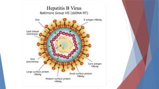 HEPATITIS presentation for microbiology for nursing students | PPTX