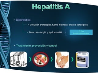 • Diagnóstico:
           • Evolución cronológica, fuente infectada, análisis serológicos


                                                                 ELISA
           • Detección de IgM y Ig G anti-VHA             Radioinmunoanálisis




• Tratamiento, prevención y control:
 