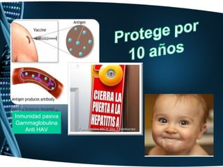 Inmunidad pasiva
Gammaglobulina
   Anti HAV
 