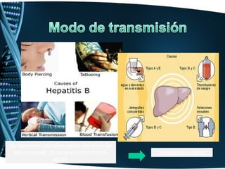 Se transmite semanas antes del inicio de
 los síntomas, durante el curso clínico    Portadores crónico
                agudo
 