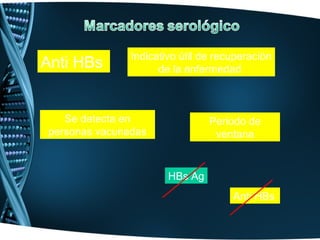 Indicativo útil de recuperación
Anti HBs             de la enfermedad



   Se detecta en                Periodo de
personas vacunadas               ventana


                       HBs Ag
                                     Anti HBs
 