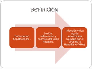 DEFINICIÓN


                                         Infección vírica
                        Lesión,               aguda
 Enfermedad         inflamación y          autolimitada
hepatocelular .   necrosis del tejido    causada por el
                      hepático.             Virus de la
                                        Hepatitis A (VHA).
 