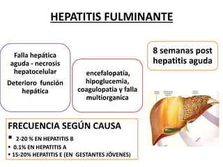 HEPATITIS FULMINANTE 
Falla hepática 
aguda - necrosis 
hepatocelular 
Deterioro función 
hepática 
encefalopatía, 
hipoglucemia, 
coagulopatia y falla 
multiorganica 
8 semanas post 
hepatitis aguda 
FRECUENCIA SEGÚN CAUSA 
 
2-20 % EN HEPATITIS B 
 0.1% EN HEPATITIS A 
 15-20% HEPATITIS E (EN GESTANTES JÓVENES) 
 
