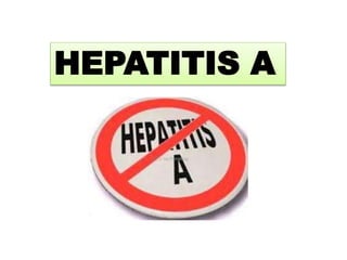 HEPATITIS A 
 