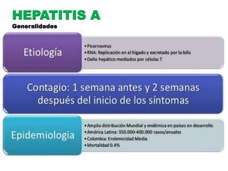 HEPATITIS A 
Generalidades 
 