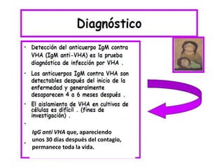 IgG anti VHA que, apareciendo 
unos 30 días después del contagio, 
permanece toda la vida. 
 