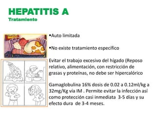 HEPATITIS A 
Tratamiento 
Auto limitada 
No existe tratamiento específico 
Evitar el trabajo excesivo del hígado (Reposo 
relativo, alimentación, con restricción de 
grasas y proteínas, no debe ser hipercalórico 
Gamaglobulina 16% dosis de 0.02 a 0.12ml/kg a 
32mg/Kg vía IM . Permite evitar la infección así 
como protección casi inmediata 3-5 días y su 
efecto dura de 3-4 meses. 
 