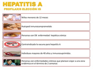 HEPATITIS A 
PROFILAXIS ELECCIÒN IG 
Niños menores de 12 meses 
Huésped inmunocomprometido 
Personas con DX enfermedad hepática crónica 
Contraindicada la vacuna para hepatitis A 
Individuos mayores de 40 años y inmunosuprimidos 
Personas con enfermedades crónicas que planean viajar a una zona 
endémica en el término de 2 semanas 
 