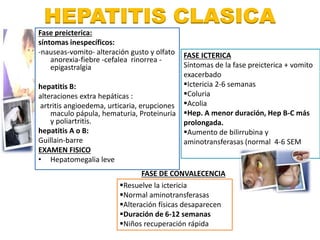 HEPATITIS CLASICA 
Fase preicterica: 
síntomas inespecíficos: 
-nauseas-vomito- alteración gusto y olfato 
anorexia-fiebre -cefalea rinorrea - 
epigastralgia 
hepatitis B: 
alteraciones extra hepáticas : 
artritis angioedema, urticaria, erupciones 
maculo pápula, hematuria, Proteinuria 
y poliartritis. 
hepatitis A o B: 
Guillain-barre 
EXAMEN FISICO 
• Hepatomegalia leve 
FASE ICTERICA 
Síntomas de la fase preicterica + vomito 
exacerbado 
Ictericia 2-6 semanas 
Coluria 
Acolia 
Hep. A menor duración, Hep B-C más 
prolongada. 
Aumento de bilirrubina y 
aminotransferasas (normal 4-6 SEM 
FASE DE CONVALECENCIA 
Resuelve la ictericia 
Normal aminotransferasas 
Alteración físicas desaparecen 
Duración de 6-12 semanas 
Niños recuperación rápida 
 