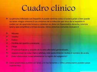 Cuadro clínico 
 La persona infectada con hepatitis A puede sentirse como si tuviera gripe o bien puede 
no tener ningún síntoma.6 Los síntomas de la infección por virus de la hepatitis A 
suelen ser de aparición brusca y consisten en dolor en hipocondrio derecho, ictericia 
(piel y ojos amarillos) y orinas oscuras. Otros síntomas comunes incluyen:4 
 Náusea 
 Vómito 
 Fiebre 
 Pérdida del apetito y anorexia 
 Fatiga 
 Prurito (irritación y picazón de la zona afectada) generalizado. 
 deposiciones de color claro y albinas, este padecimiento recibe el nombre de acolia. 
 Dolor abdominal, especialmente en la región del epigastrio7 
 Estos pródromos pueden ser leves y en los lactantes y niños preescolares pueden pasar 
inadvertidos 
 