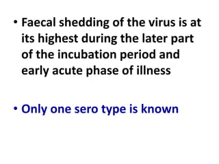 • Faecal shedding of the virus is at
its highest during the later part
of the incubation period and
early acute phase of illness
• Only one sero type is known
 