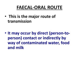 FAECAL-ORAL ROUTE
• This is the major route of
transmission
• It may occur by direct (person-to-
person) contact or indirectly by
way of contaminated water, food
and milk
 