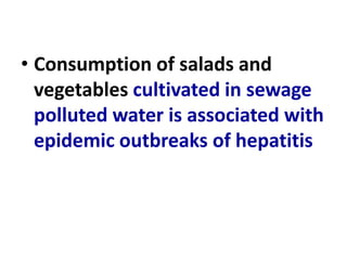 • Consumption of salads and
vegetables cultivated in sewage
polluted water is associated with
epidemic outbreaks of hepatitis
 