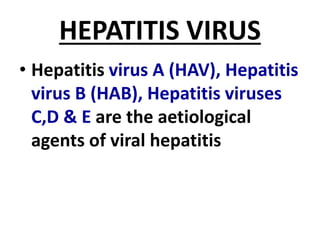 HEPATITIS VIRUS
• Hepatitis virus A (HAV), Hepatitis
virus B (HAB), Hepatitis viruses
C,D & E are the aetiological
agents of viral hepatitis
 