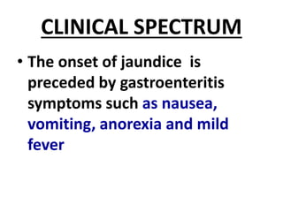 CLINICAL SPECTRUM
• The onset of jaundice is
preceded by gastroenteritis
symptoms such as nausea,
vomiting, anorexia and mild
fever
 