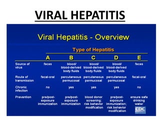 VIRAL HEPATITIS
 