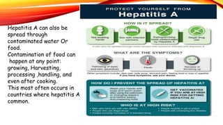 Hepatitis A can also be
spread through
contaminated water Or
food.
Contamination of food can
happen at any point:
growing, Harvesting,
processing ,handling, and
even after cooking.
This most often occurs in
countries where hepatitis A
common.
 