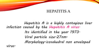 HEPATITIS A
Hepatitis A is a highly contagious liver
infection caused by the Hepatitis A virus.
Its identified in the year 1973.
Viral particle size-27nm.
Morphology-icosahedral non enveloped
virus.
 