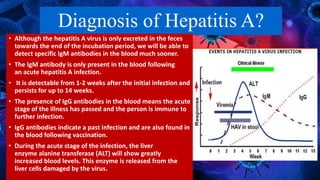 Hepatitis A | PPTX