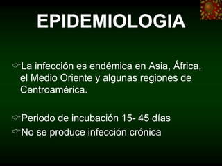 EPIDEMIOLOGIA
La infección es endémica en Asia, África,
el Medio Oriente y algunas regiones de
Centroamérica.
Periodo de incubación 15- 45 días
No se produce infección crónica
 