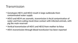Transmission
• Genotypes HEV1 and HEV2 result in large outbreaks from
contaminated water supply
• HEV3 and HEV4 are zoonotic, transmission is fecal contamination of
water and from eating meat/close contact with infected animals, with
pig the main reservoir
• Vertical transmission of HEV1 and HEV2 from mother to fetus
• HEV1 transmission through blood transfusion has been reported
 