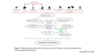 Horvatits et al, 2019
 