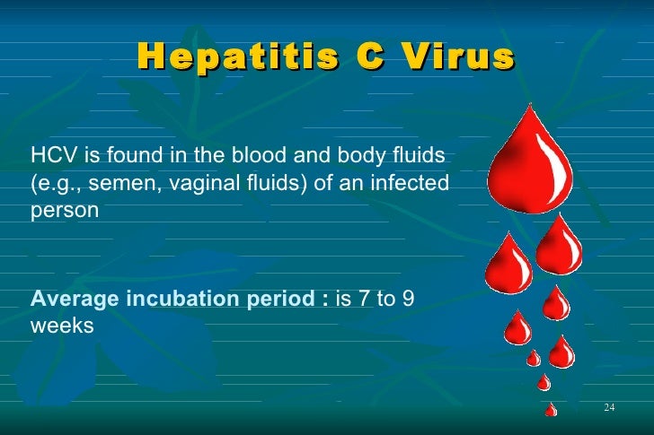Hepatitis c and sperm