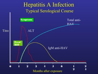 Hepatitis A Infection
                       Typical Serological Course
                    Symptoms                           Total anti-
                                                       HAV

Titre                   ALT


            Fecal
            HAV
                                          IgM anti-HAV




        0     1         2       3     4     5     6        1         2
                                                           2         4
                               Months after exposure
 