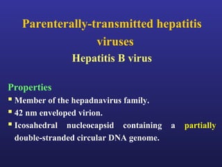 Parenterally-transmitted hepatitis
                 viruses
               Hepatitis B virus

Properties
 Member of the hepadnavirus family.
 42 nm enveloped virion.
 Icosahedral nucleocapsid containing a partially
 double-stranded circular DNA genome.
 