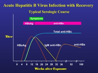 Acute Hepatitis B Virus Infection with Recovery
                     Typical Serologic Course
                      Symptoms

                 HBeAg                 anti-HBe


                                       Total anti-HBc
 Titer

         HBsAg                   IgM anti-HBc           anti-HBs




         0   4   8    12 16 20 24 28 32 36         52      100
                         Weeks after Exposure
 