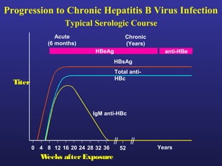 Progression to Chronic Hepatitis B Virus Infection
                     Typical Serologic Course
                  Acute                    Chronic
               (6 months)                  (Years)
                               HBeAg                   anti-HBe
                                       HBsAg
                                       Total anti-
                                       HBc
  Titer



                              IgM anti-HBc




          0 4 8 12 16 20 24 28 32 36     52          Years
            Weeks after Exposure
 