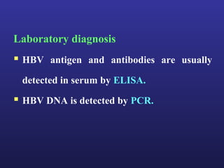 Laboratory diagnosis
 HBV antigen and antibodies are usually
 detected in serum by ELISA.

 HBV DNA is detected by PCR.
 