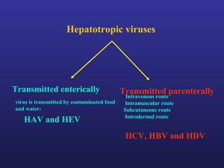 Hepatotropic viruses




Transmitted enterically                     Transmitted parenterally
                                            -Intravenous route
virus is transmitted by contaminated food    Intramuscular route
and water:                                  Subcutaneous route
                                             Intradermal route
   HAV and HEV
                                             HCV, HBV and HDV
 