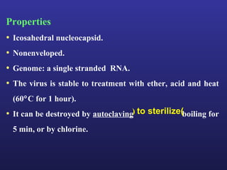 Properties
• Icosahedral nucleocapsid.
• Nonenveloped.
• Genome: a single stranded RNA.
• The virus is stable to treatment with ether, acid and heat
 (60°C for 1 hour).
• It can be destroyed by autoclaving) to sterilize)boiling for
 5 min, or by chlorine.
 