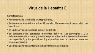 Virus de la Hepatitis E
Características:
• Pertenece a la familia de los Hepeviridae.
• Su forma es icosaédrica, mide 32 nm de diámetro y está desprovisto de
envoltura.
• Es un RNA virus de cadena simple, de 8,5 kb
• Se conocen ocho genotipos diferentes del VHE. Los genotipos 1 y 2
infectan sólo a humanos y son los responsables de los brotes epidémicos
de hepatitis E, y los genotipos 3 y 4 pueden infectar tanto a humanos
como a animales.
• Los otros genotipos infectan exclusivamente a animales.
 