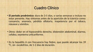Cuadro Clínico
• El período prodrómico: dura de 3-5 días, o varias semanas o incluso no
estar presente. Hay síntomas antes de la aparición de la ictericia como:
cansancio, anorexia, pérdida olfatoria, inapetencia por el tabaco,
náuseas y vómitos.
• Otros: dolor en el hipocondrio derecho, distensión abdominal, diarrea,
cefalea, exantema urticariforme.
• En la hepatitis A con frecuencia hay fiebre, que puede alcanzar los 39
°C, sin escalofríos, de 1-2 días de duración.
 