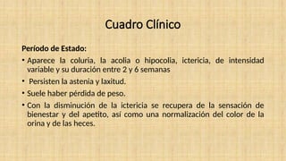 Cuadro Clínico
Período de Estado:
• Aparece la coluria, la acolia o hipocolia, ictericia, de intensidad
variable y su duración entre 2 y 6 semanas
• Persisten la astenia y laxitud.
• Suele haber pérdida de peso.
• Con la disminución de la ictericia se recupera de la sensación de
bienestar y del apetito, así como una normalización del color de la
orina y de las heces.
 